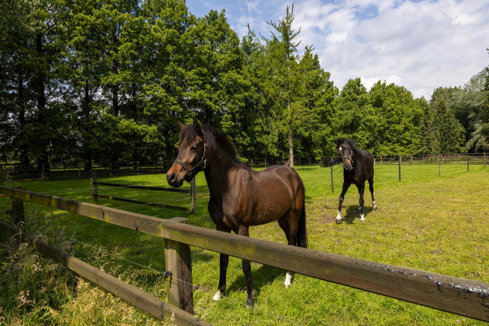 לונטרן Luxe Hofstede Met Paardenstalling מראה חיצוני תמונה